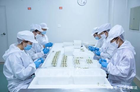 智能制造赋能海洋养生 同仁堂健康大连生产基地的高品质之道